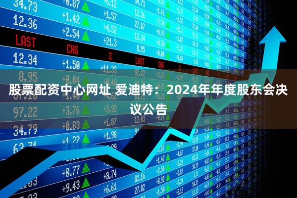 股票配资中心网址 爱迪特：2024年年度股东会决议公告