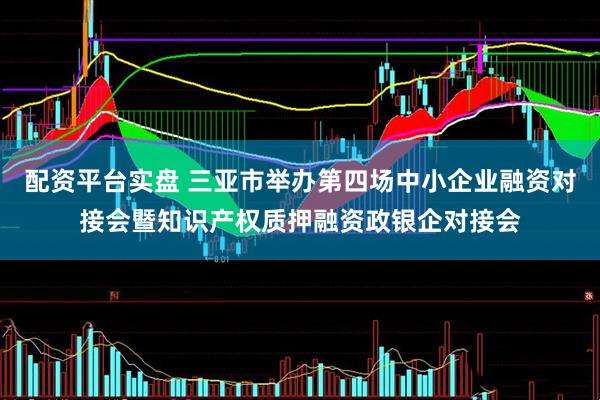 配资平台实盘 三亚市举办第四场中小企业融资对接会暨知识产权质押融资政银企对接会