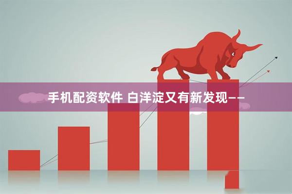 手机配资软件 白洋淀又有﻿新发现——