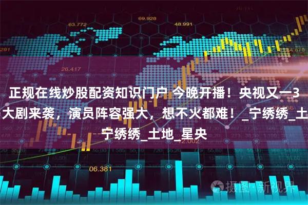 正规在线炒股配资知识门户 今晚开播！央视又一36集黑马大剧来袭，演员阵容强大，想不火都难！_宁绣绣_土地_星央