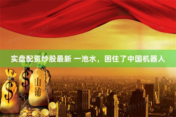 实盘配资炒股最新 一池水,困住了中国机器人